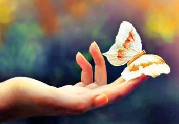 Formation soin holistique gaia-seva Formation soin holistique gaia-seva